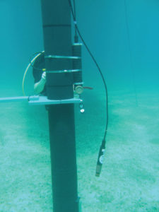 CTD cable extrusion