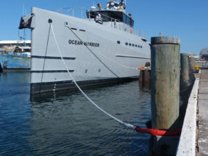 Mooring lines