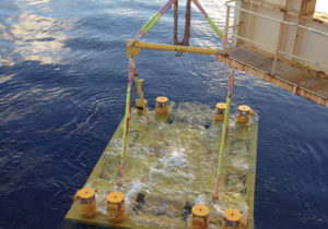 Cortland Selantic® offshore lifting slings
